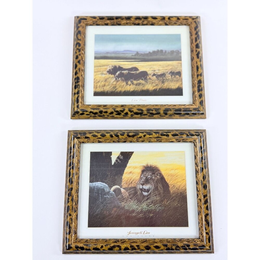 Don Balke 1990's Lion Pride & Serengeti Lion Framed Art Signed Prints 11.5 x 10